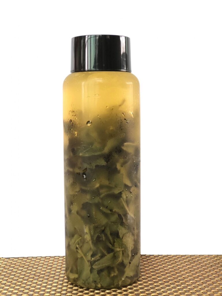 特調春芽冷泡茶